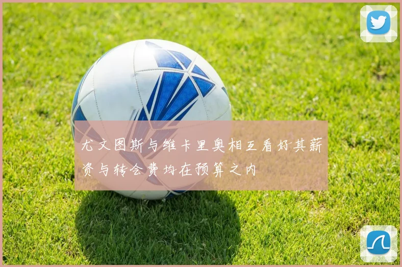 尤文图斯与维卡里奥相互看好其薪资与转会费均在预算之内