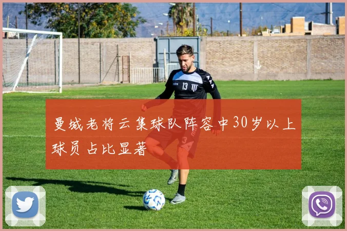 曼城老将云集球队阵容中30岁以上球员占比显著